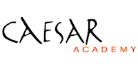 Caesar Academy
